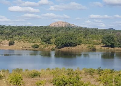 Parcul Național Kruger